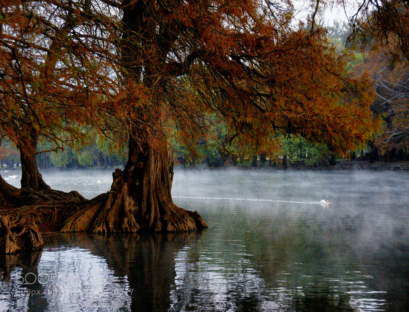 Sony Alpha DSLR-A700 sample photo. Tranquilidad. photography