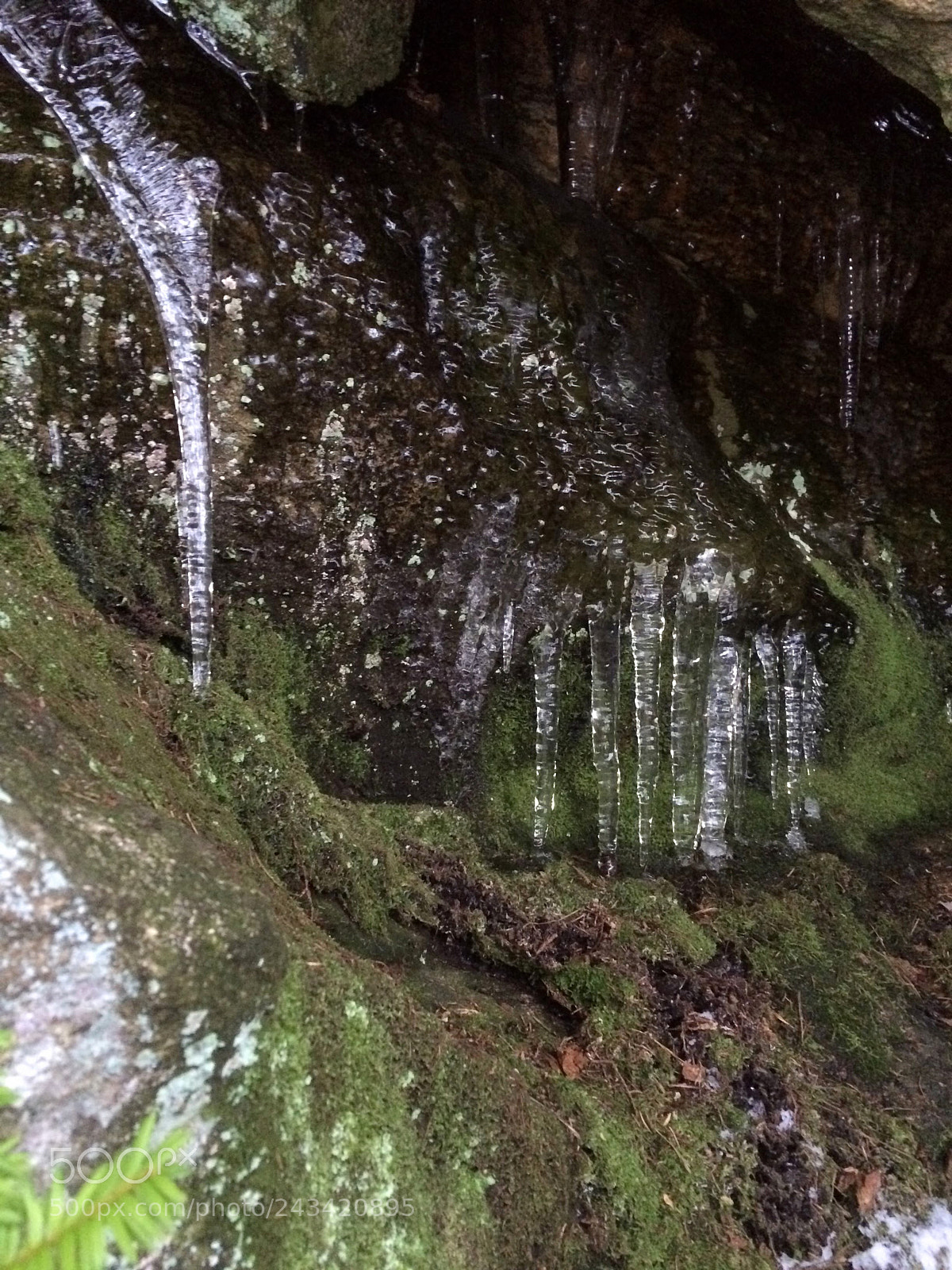 Apple iPhone 5s sample photo. The fairy world of photography