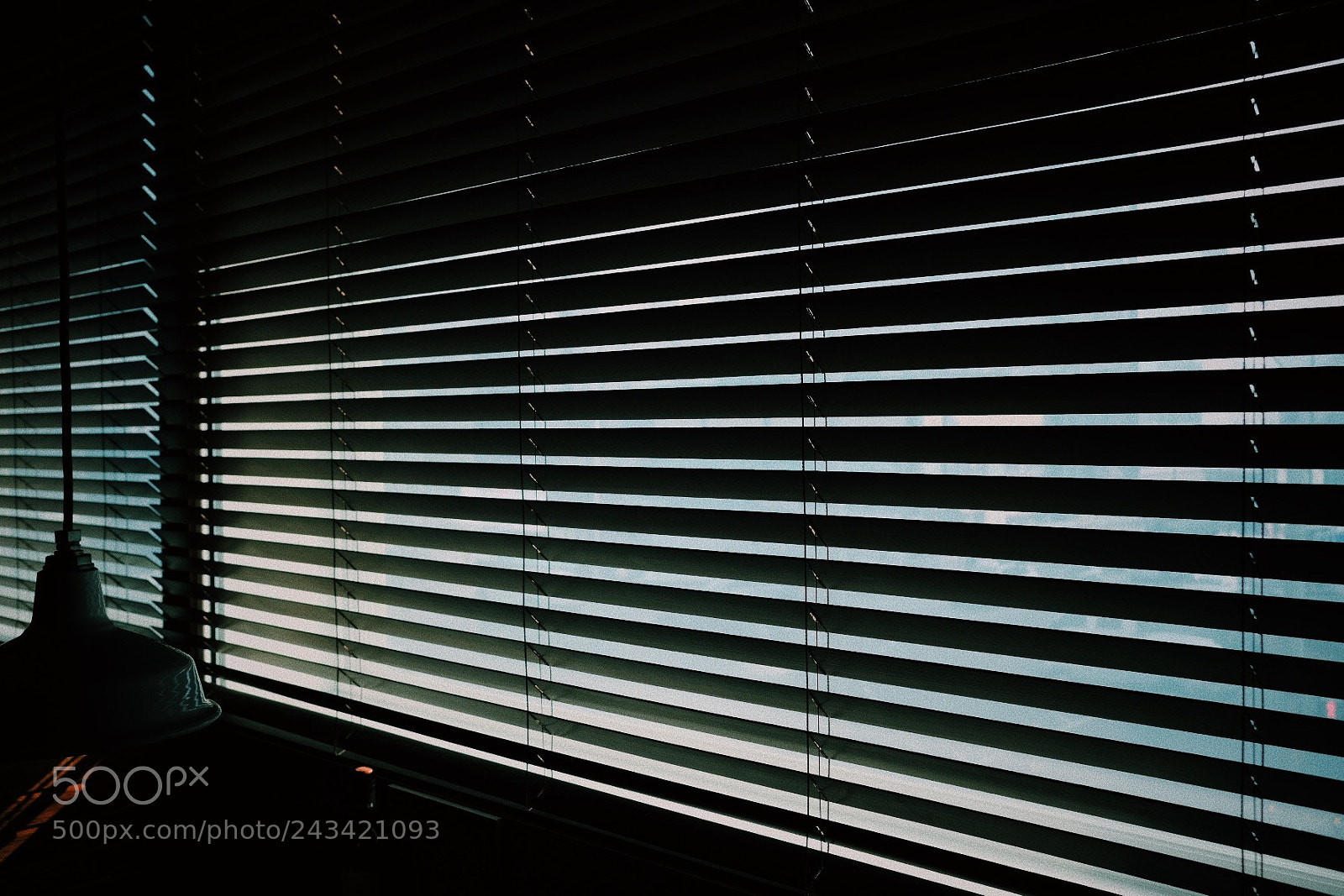 Fujifilm X-Pro2 sample photo. Vertical photography