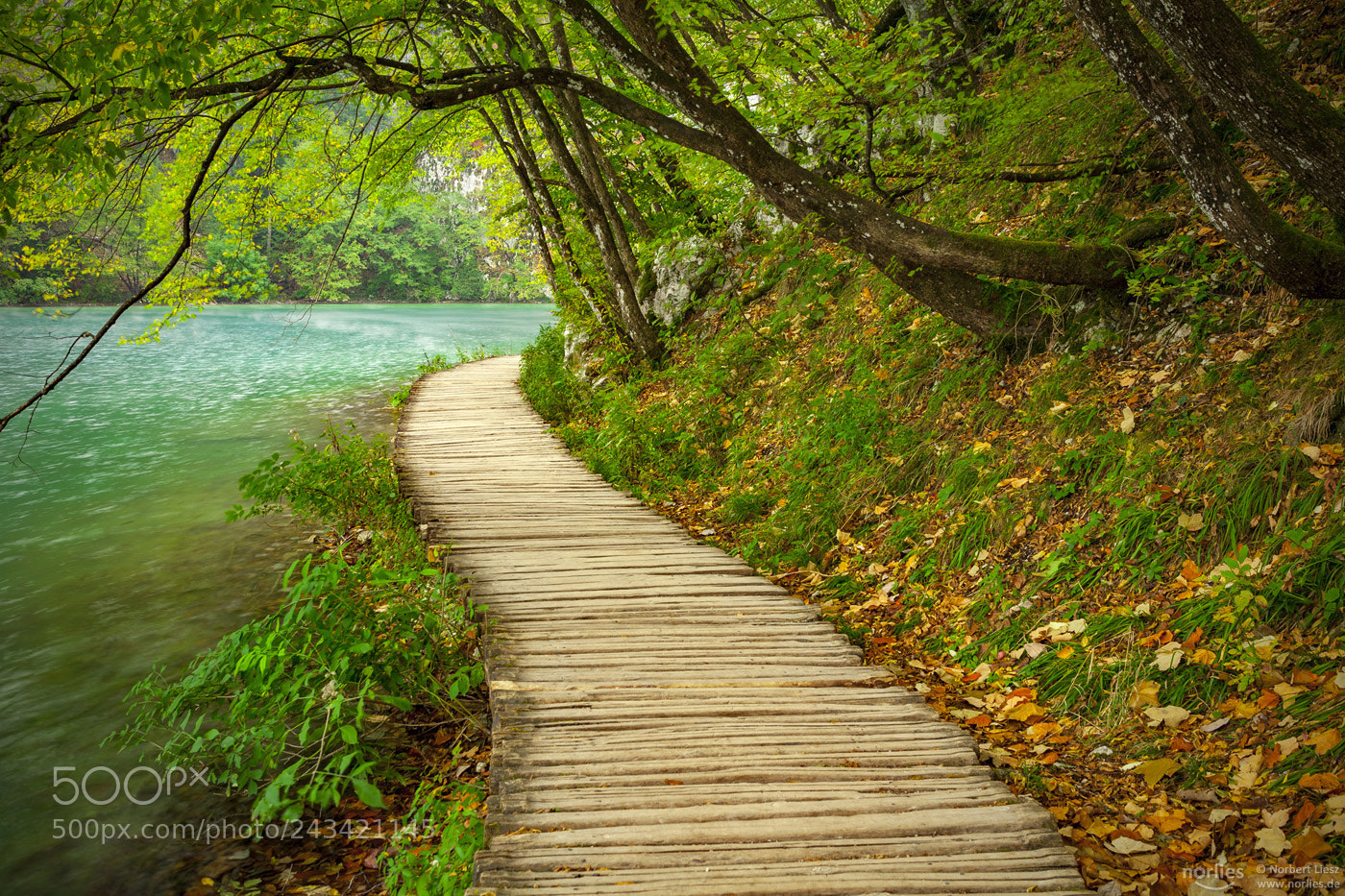 Canon EOS 5D sample photo. Autumn walkway photography