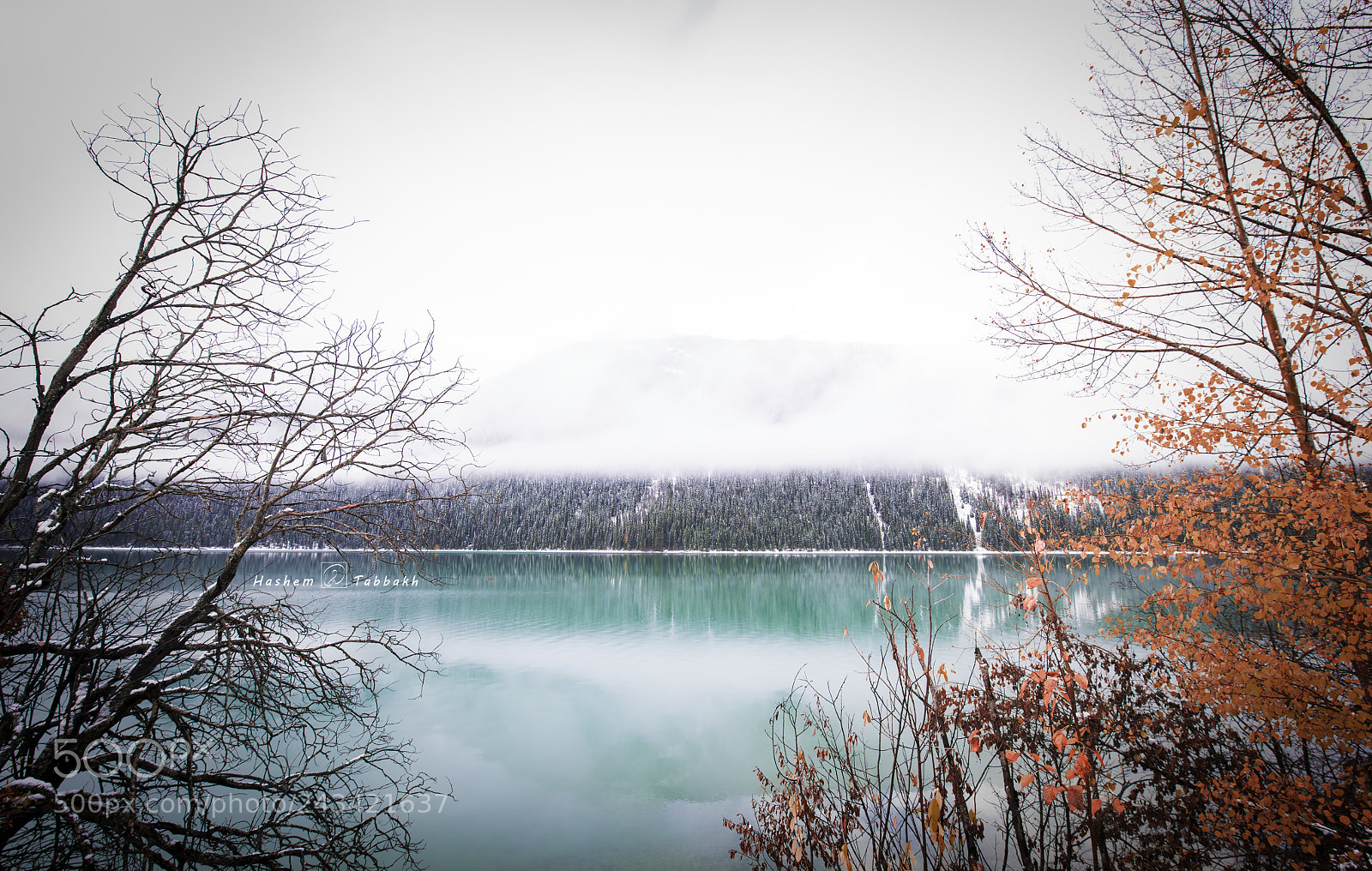Nikon D810 sample photo. Lake view photography