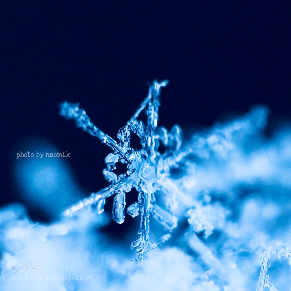 Canon EOS M10 sample photo. Crystal of snow photography