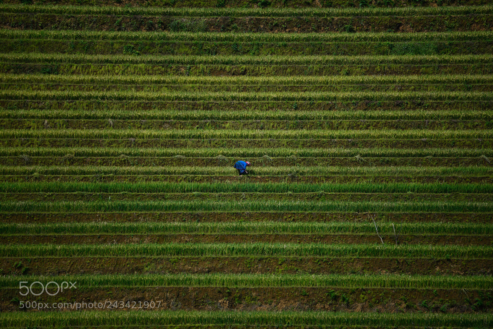 Nikon D610 sample photo. On layers photography
