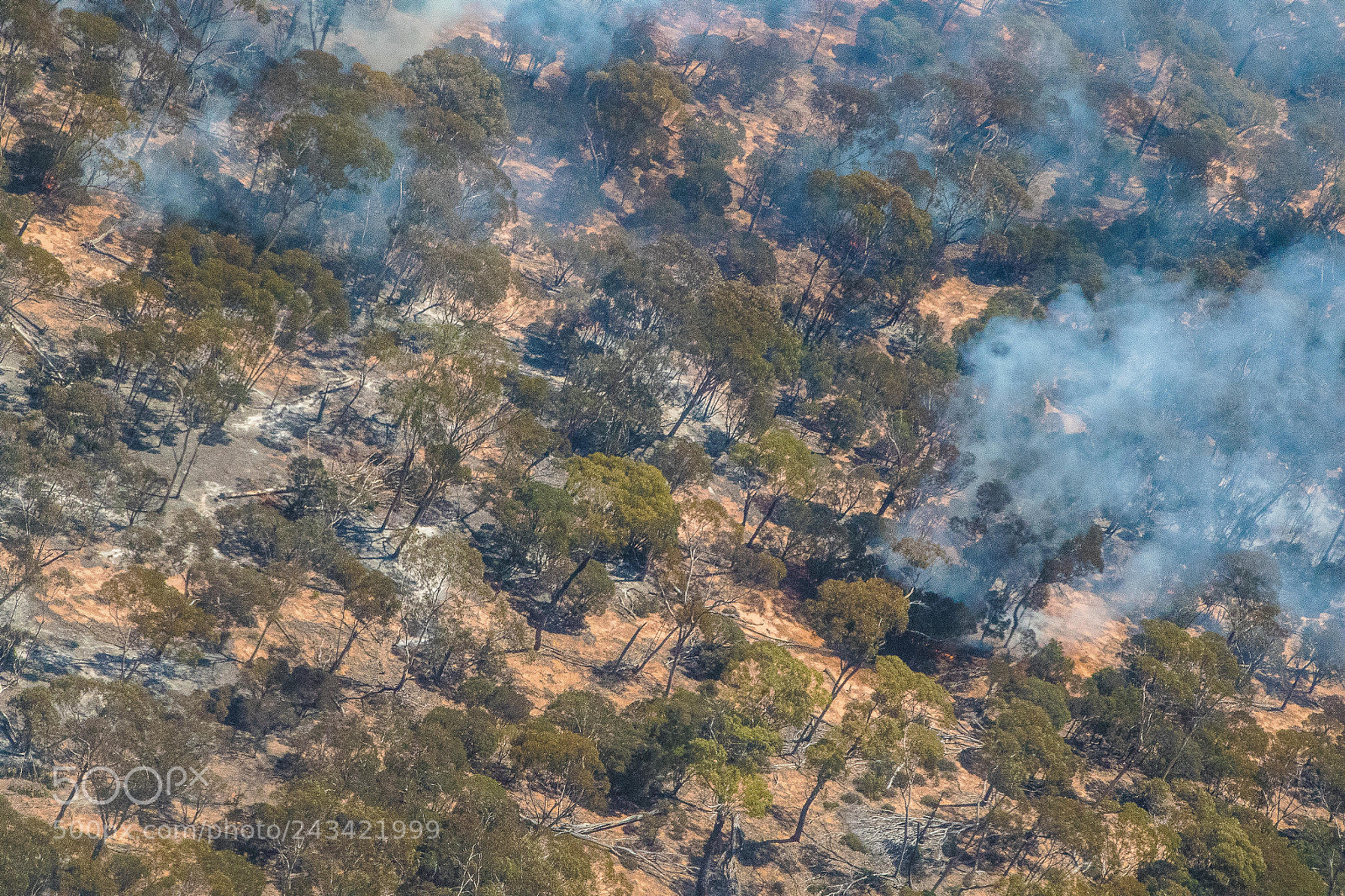 Canon EOS 7D Mark II sample photo. Scorched earth photography