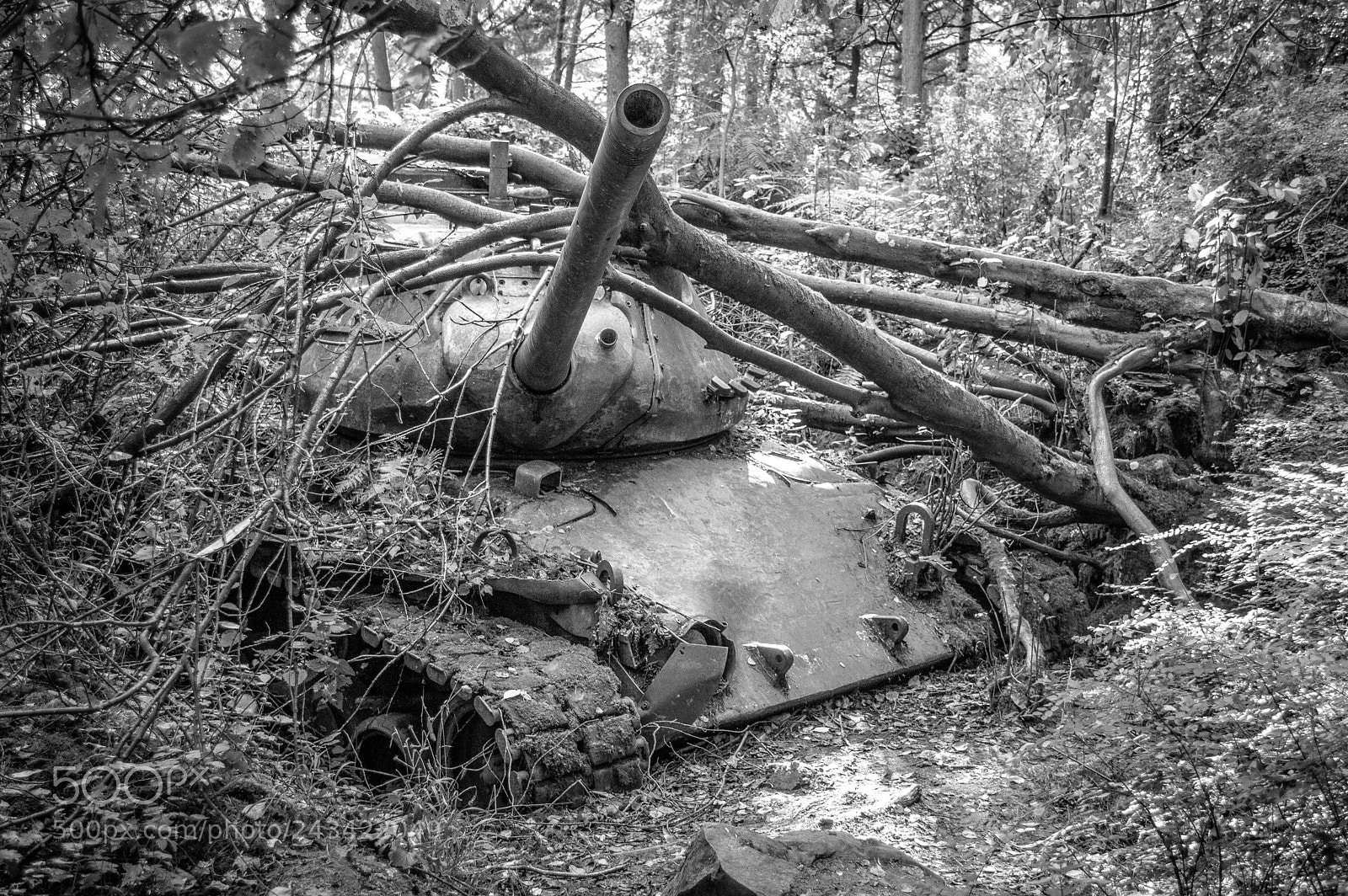 Nikon D3200 sample photo. Tank photography