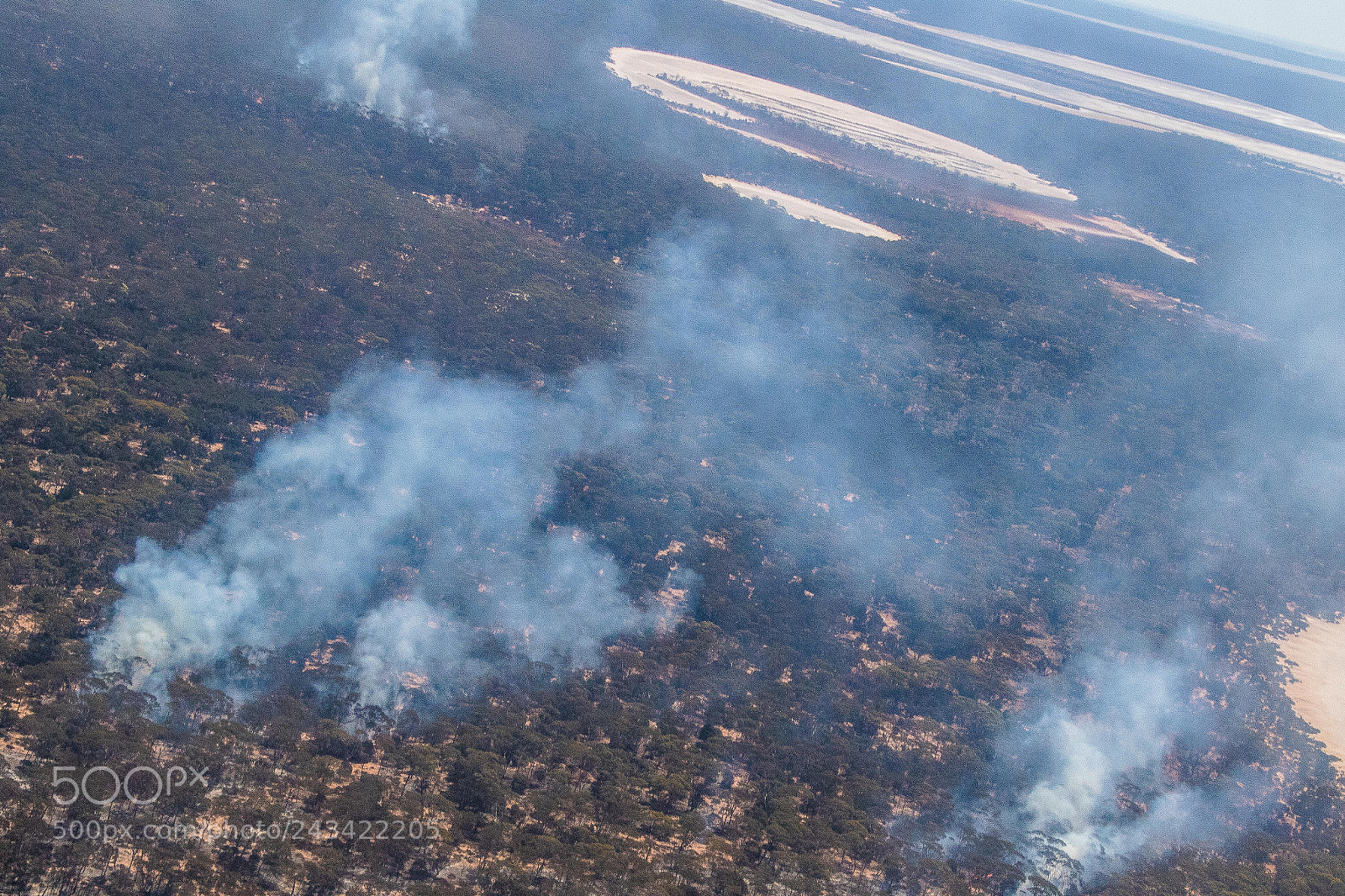 Canon EOS 7D Mark II sample photo. Smoke plumes photography