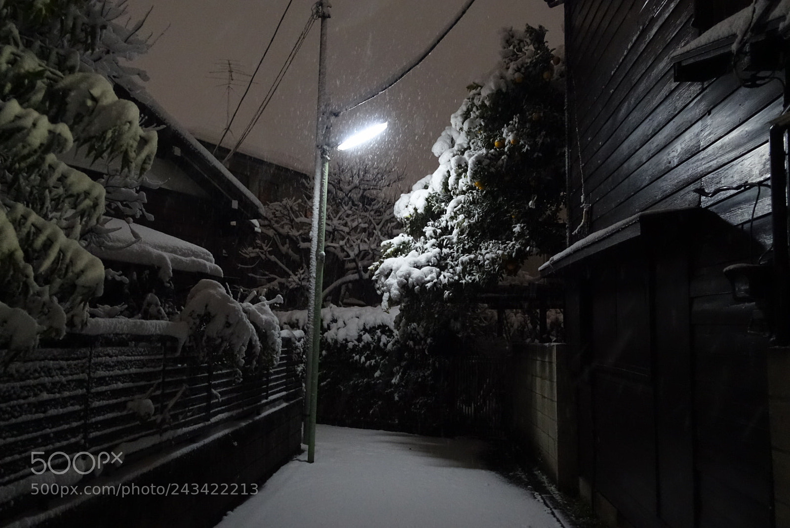Sony Cyber-shot DSC-RX100 III sample photo. No color photography