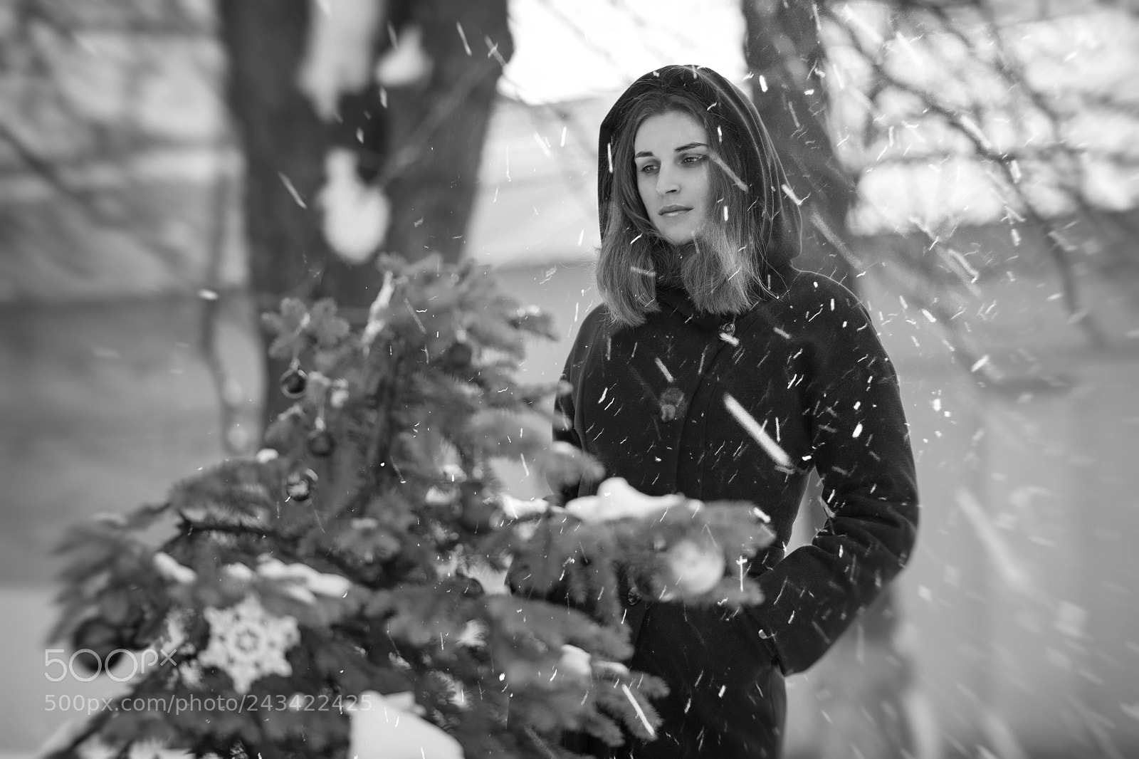 Nikon D850 sample photo. Untitled photography