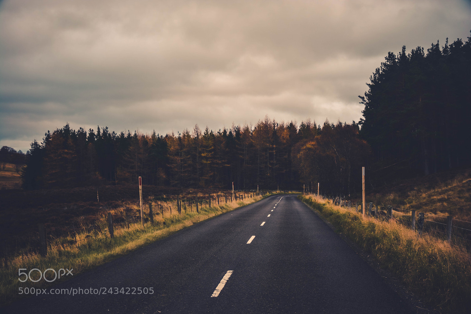 Nikon D7100 sample photo. Lost on the road photography