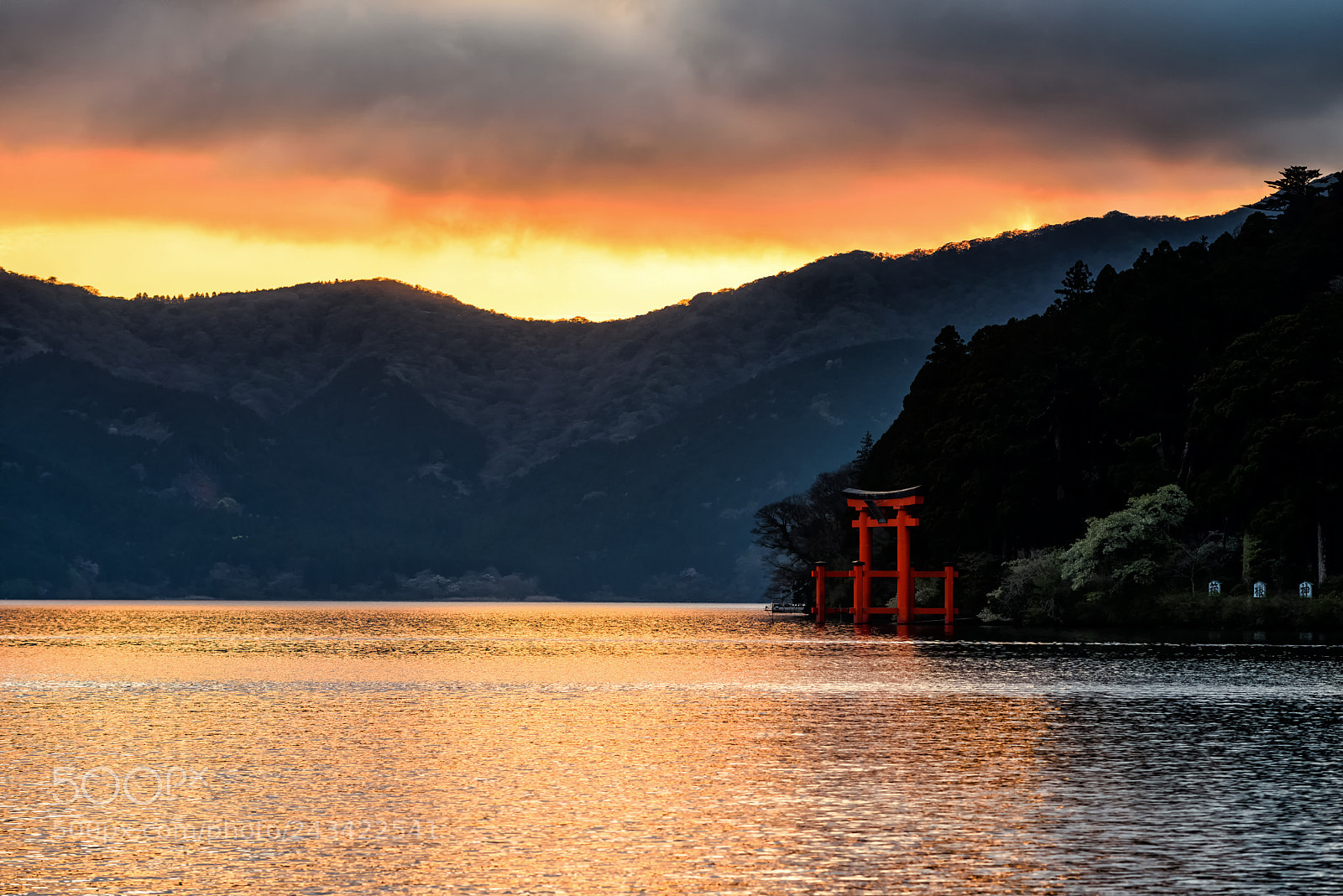 Nikon D810 sample photo. Hakone torii gate at photography