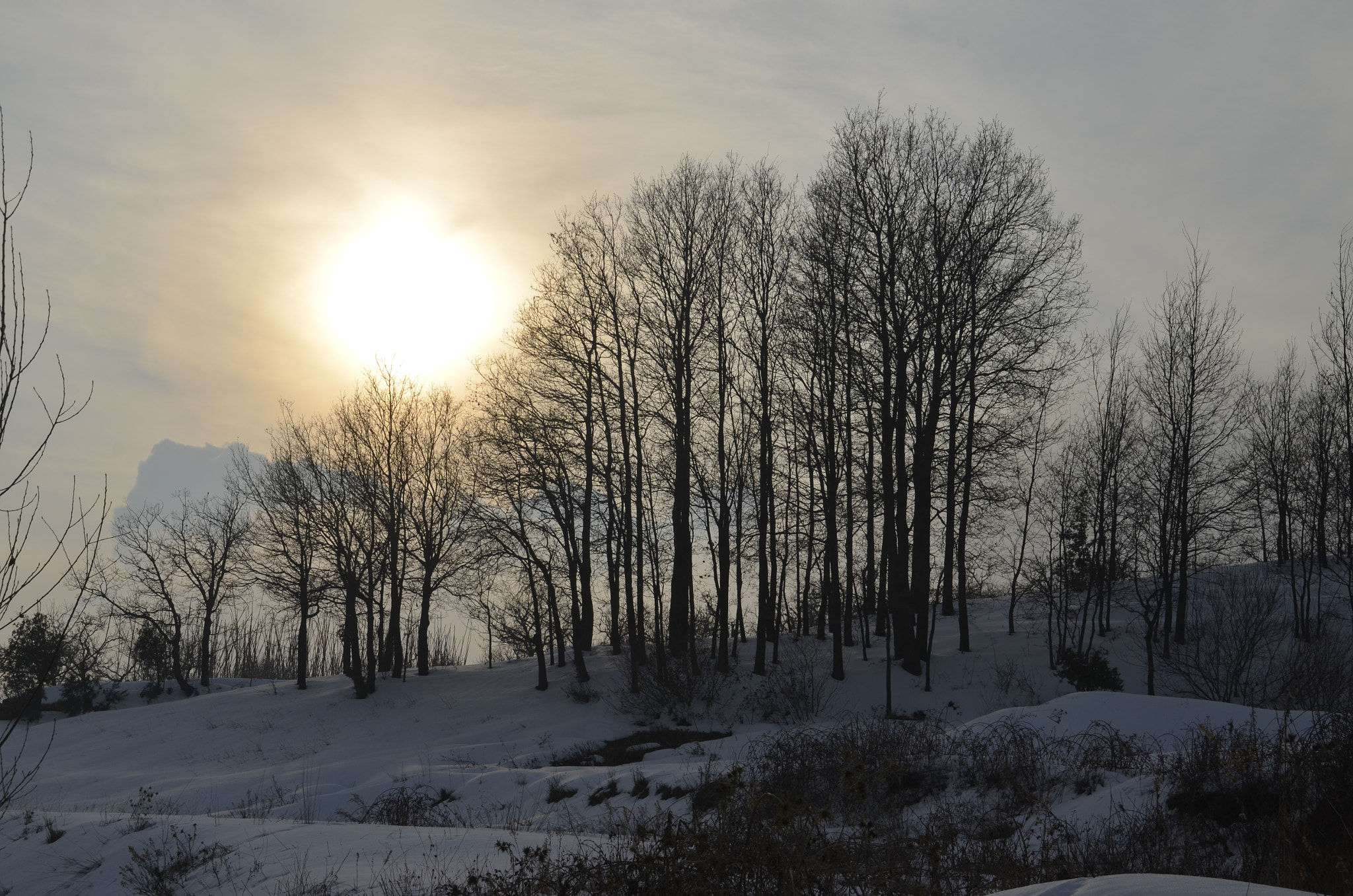 Nikon D5100 sample photo. Arz road lebanon photography