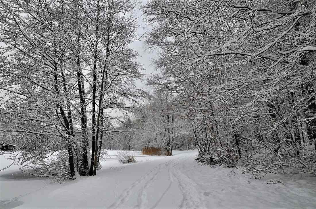 Nikon D5000 sample photo. Jpgн х (Копировать) photography