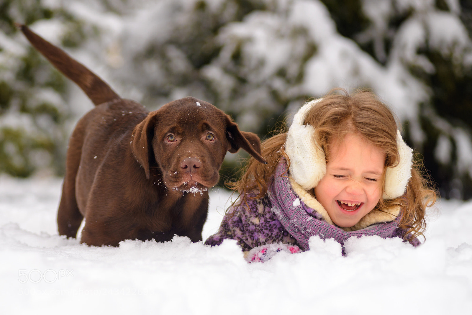 Nikon D610 sample photo. Miya and teddy photography