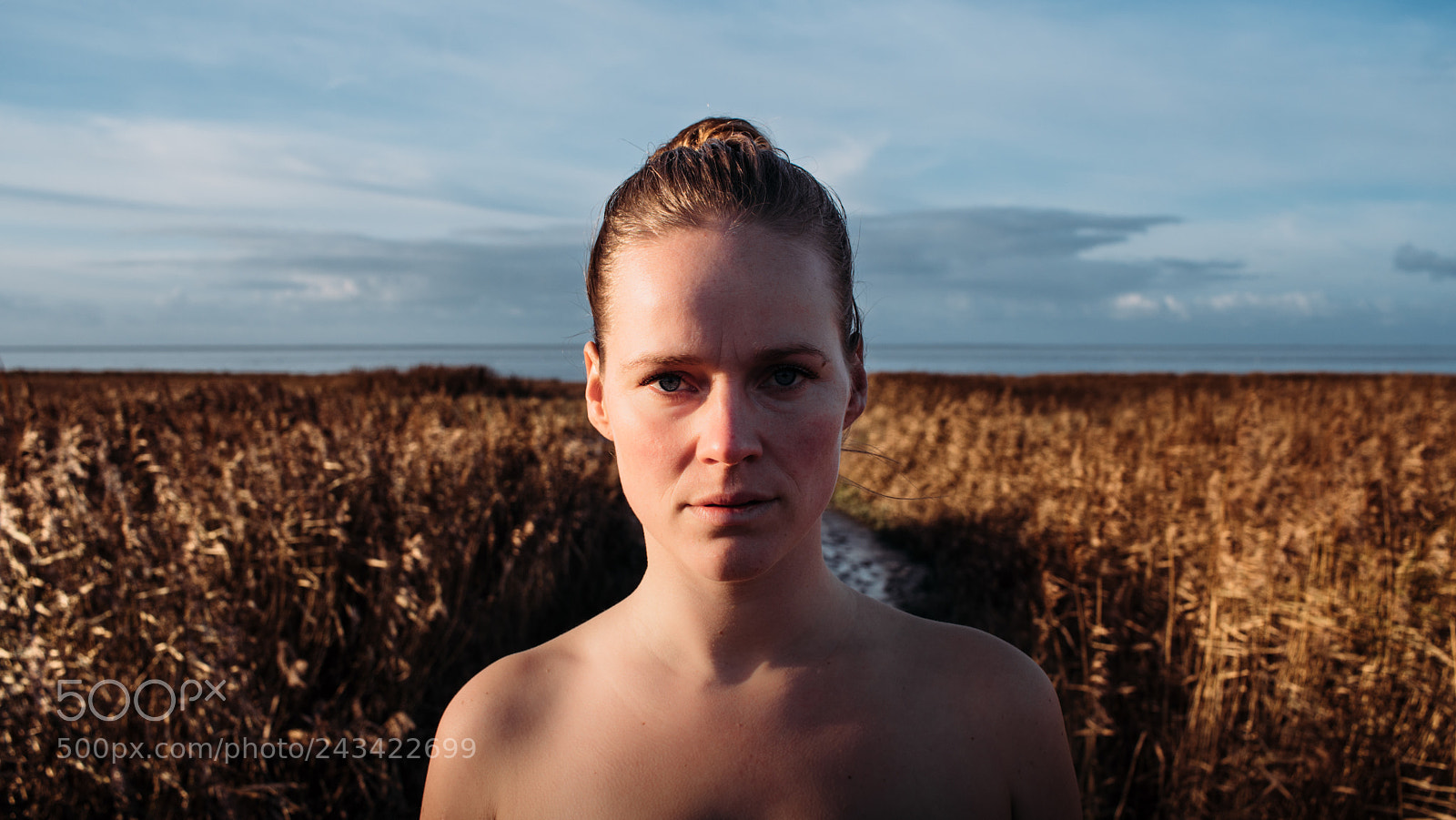 Sony a6500 sample photo. Friesland field photography