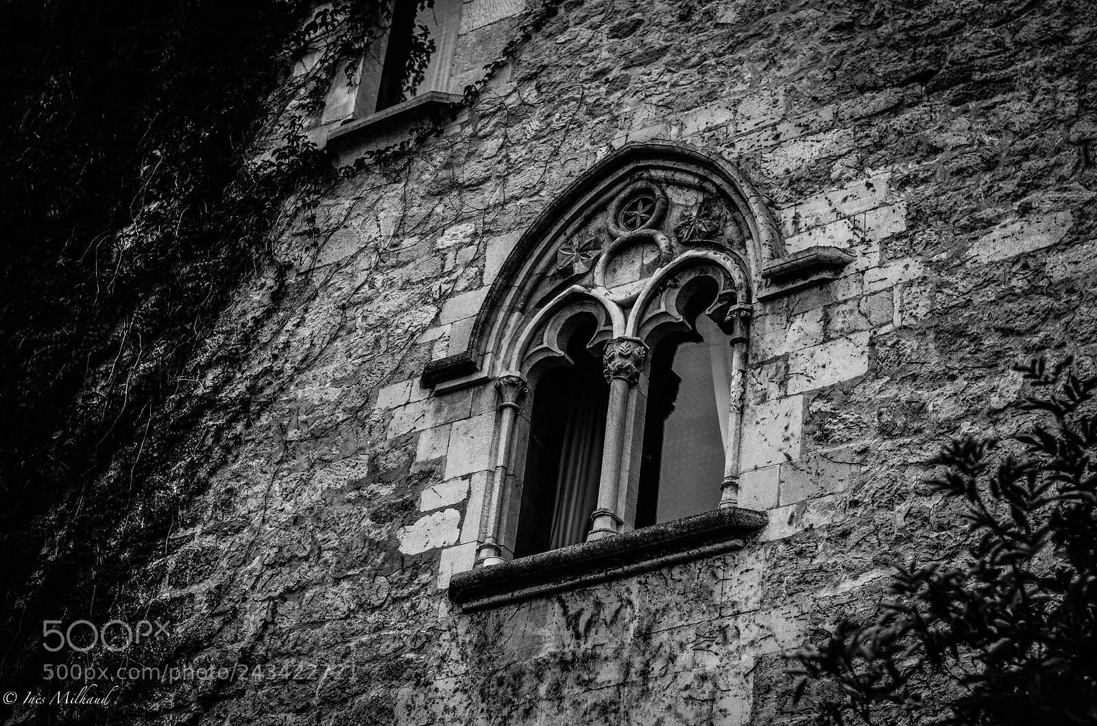 Nikon D5100 sample photo. Opus francigenum photography