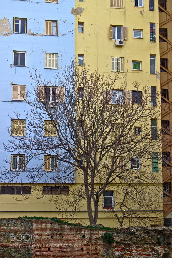 Canon EOS 100D (EOS Rebel SL1 / EOS Kiss X7) sample photo. Between blue and yellow photography