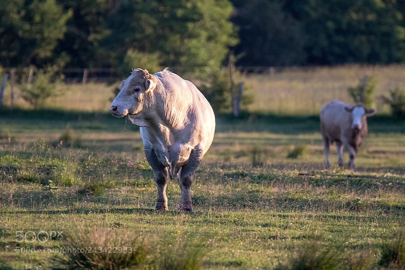 Canon EOS 7D Mark II sample photo. Checking the ladies photography