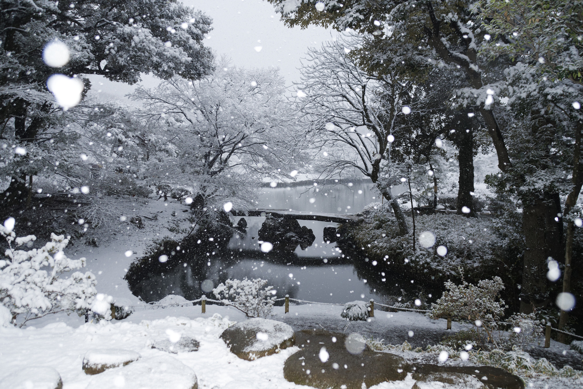 Nikon D7500 + Sigma 18-250mm F3.5-6.3 DC Macro OS HSM sample photo. Snowscape in japanese garden photography