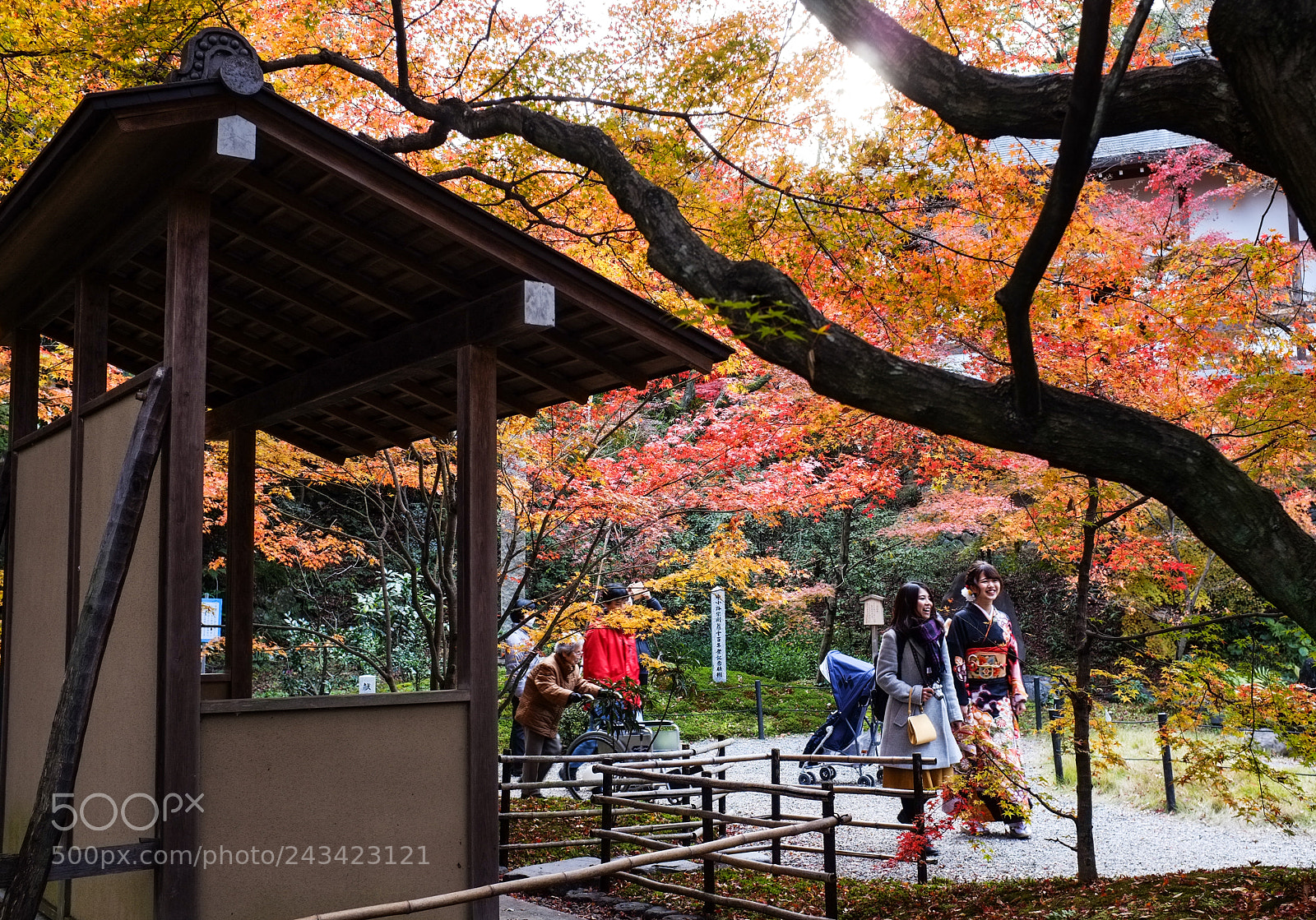 Fujifilm FinePix X100 sample photo. Hang out photography