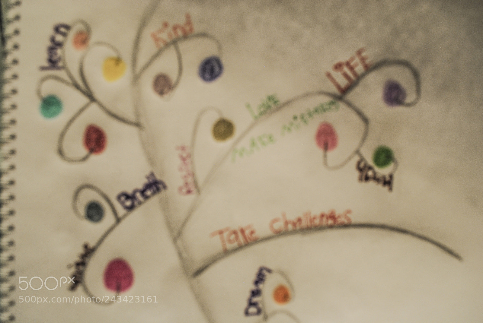 Nikon D3000 sample photo. Photo with text photography
