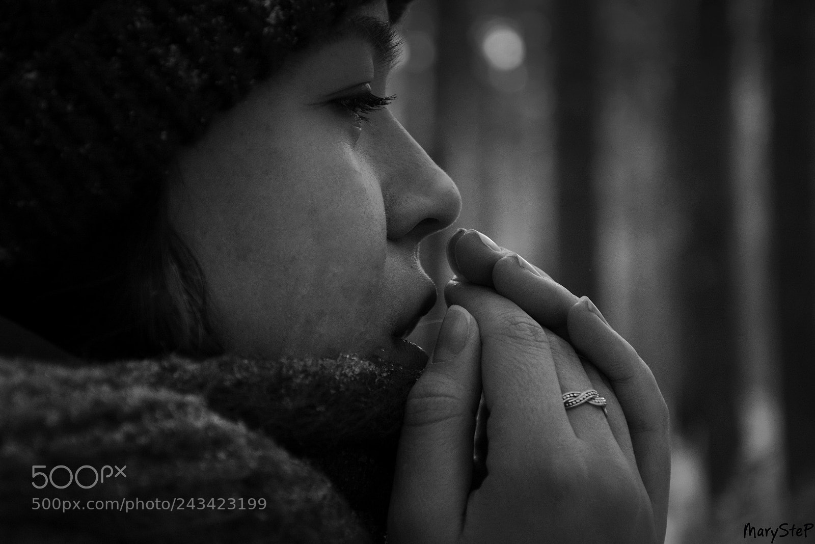Nikon D7100 sample photo. _dsc2824,,,.jpg photography