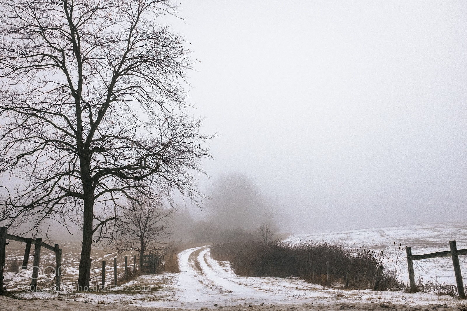 Fujifilm X100S sample photo. Fog and snow in photography