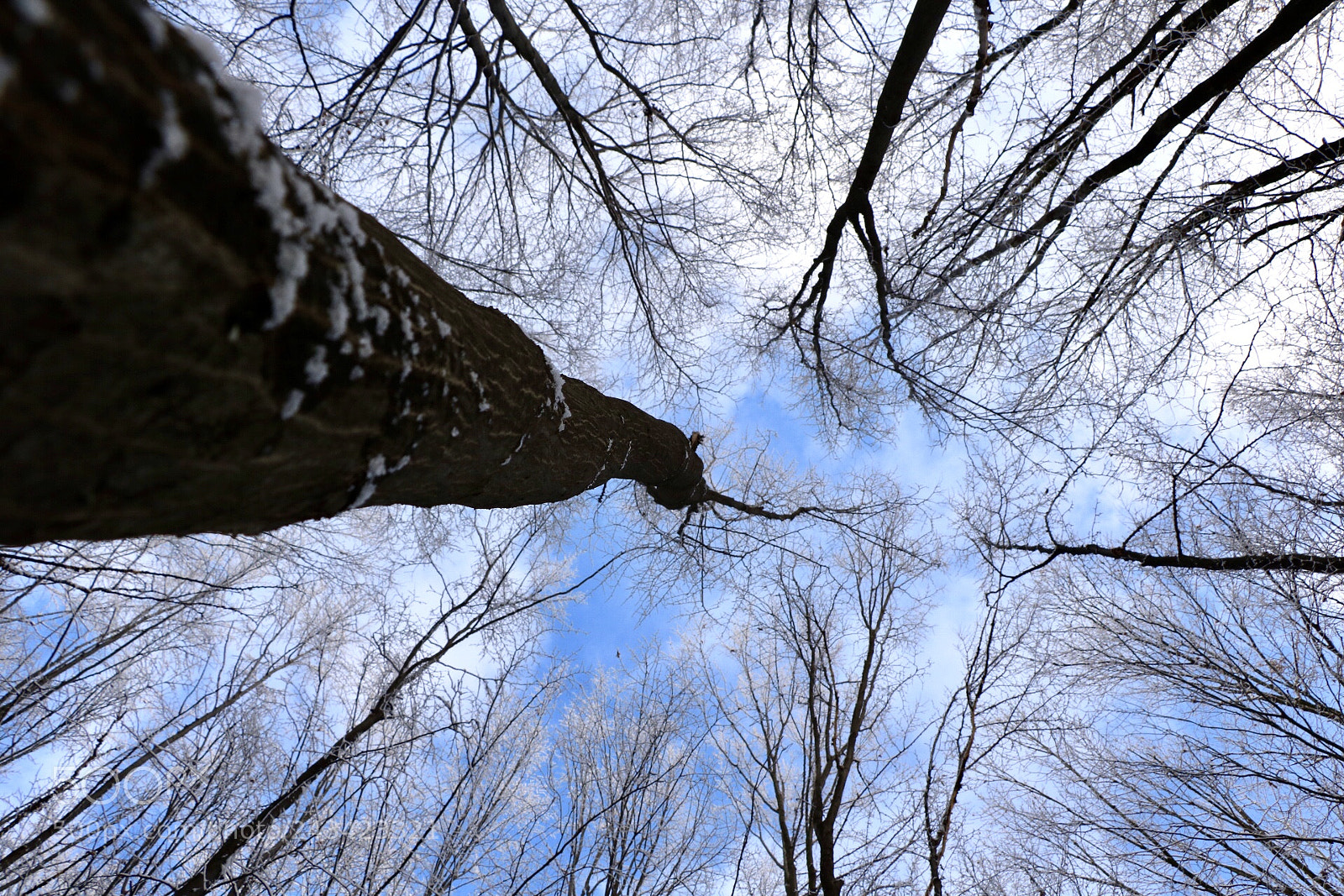 Canon EOS 750D (EOS Rebel T6i / EOS Kiss X8i) sample photo. Untitled photography