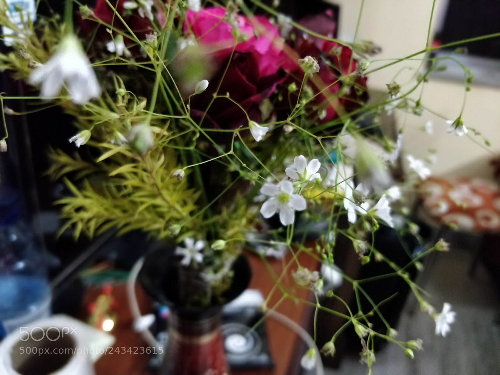 OnePlus 5T sample photo. Bloom photography