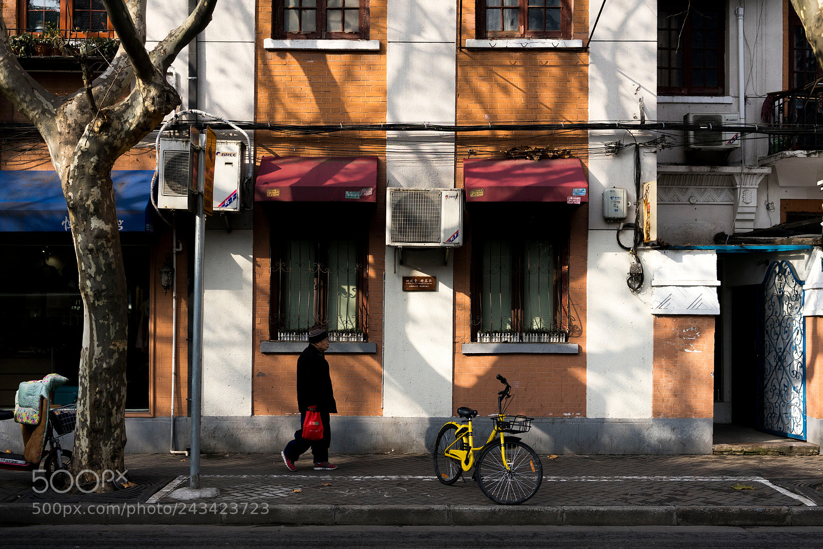 Sony a7 sample photo. Untitled photography