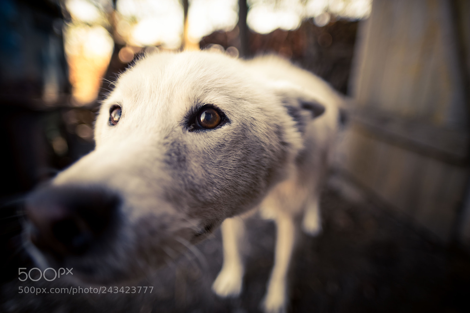 Sony a7R sample photo. Cutnes overload photography