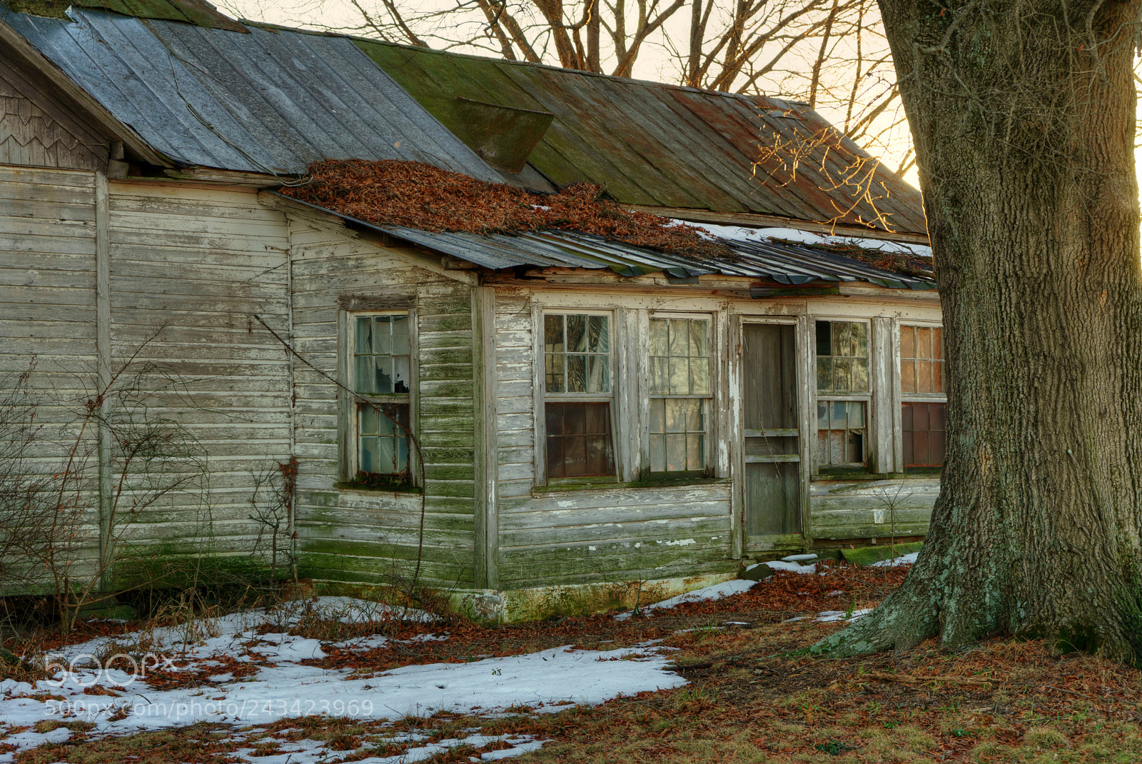 Sony a7 II sample photo. End of time photography