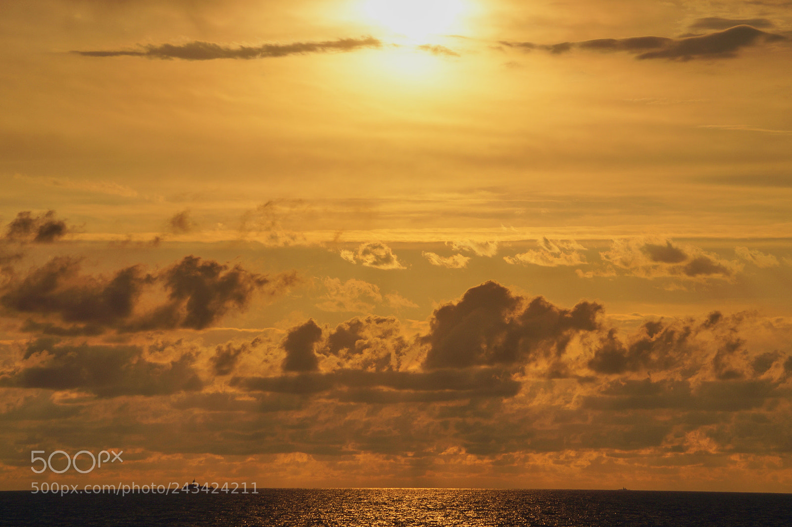 Sony SLT-A58 sample photo. The golden sunset. photography