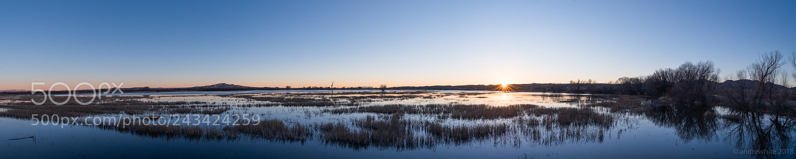 Nikon D800 sample photo. Marsh sunset photography