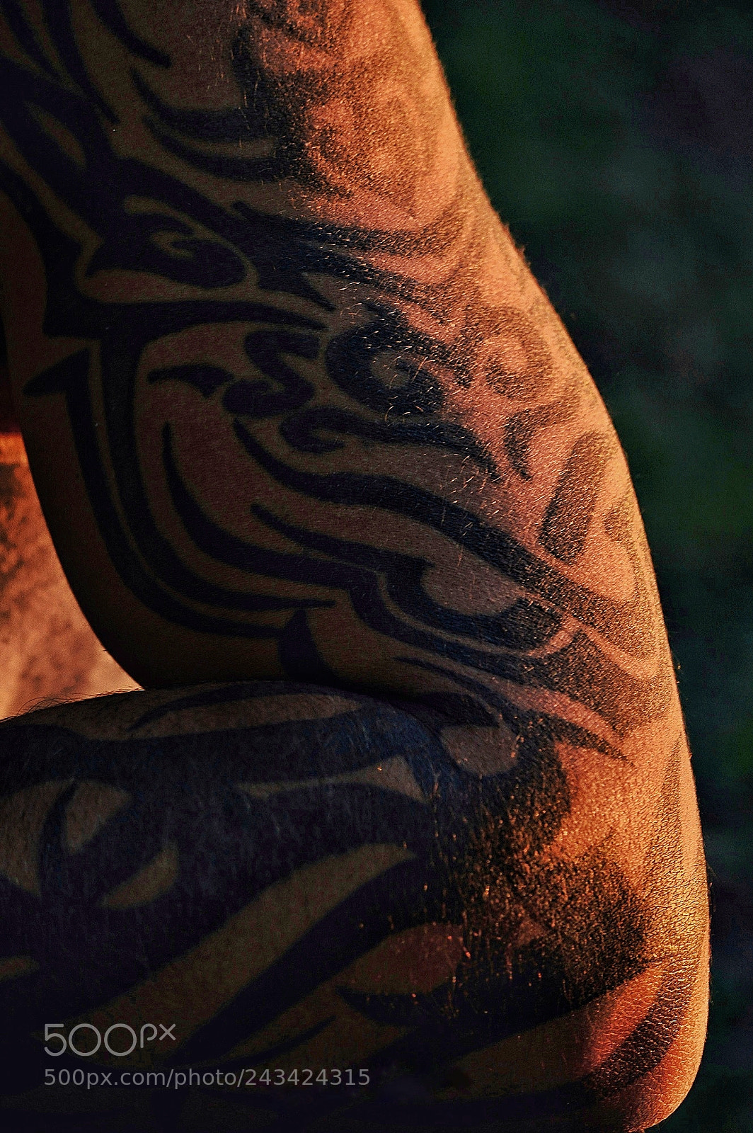 Nikon D3200 sample photo. Sunset on the skin photography