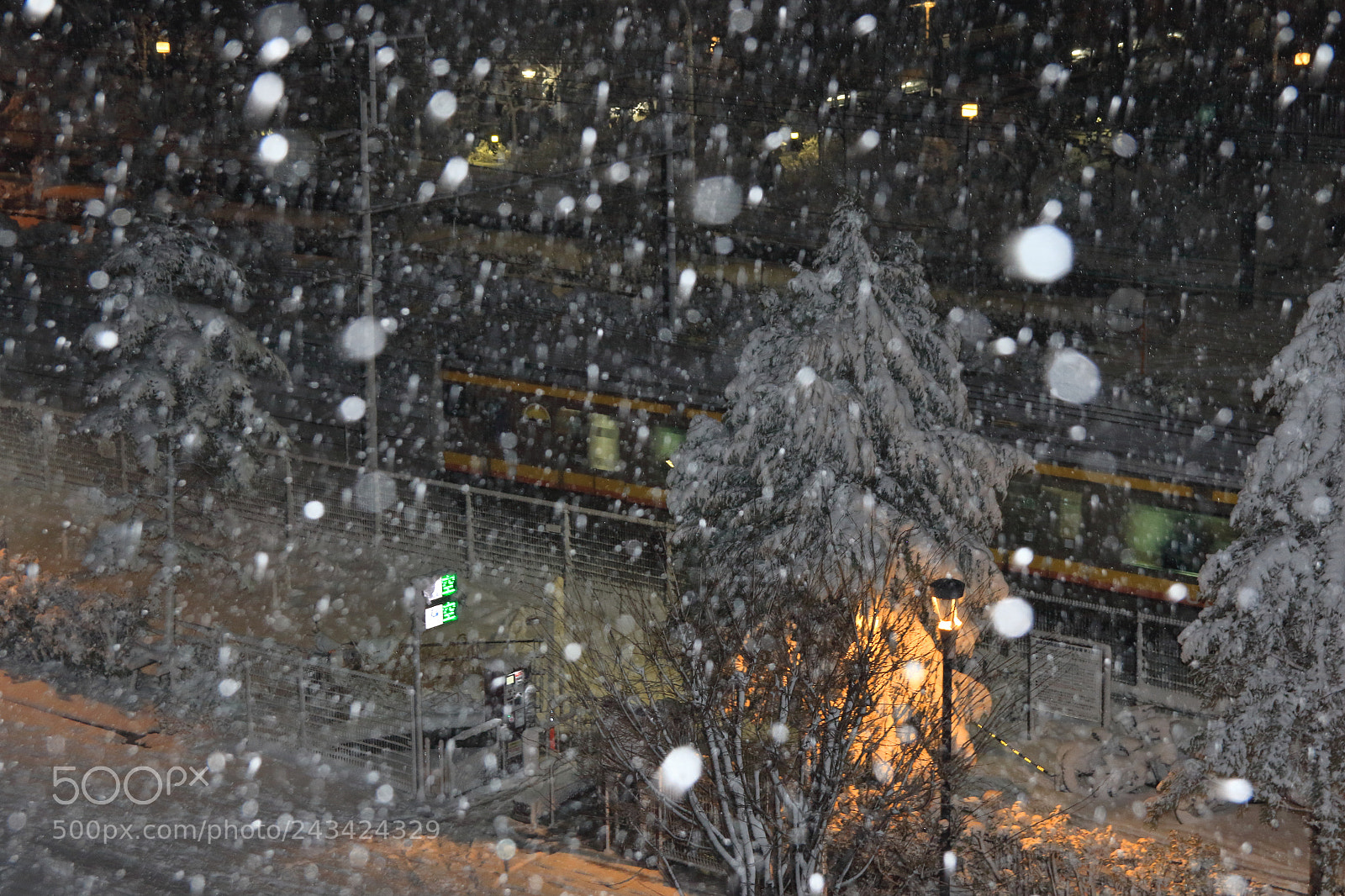Canon EOS 7D Mark II sample photo. Snow day photography