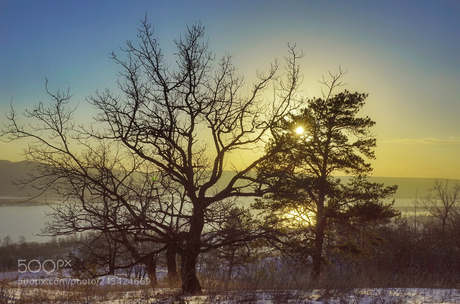 Sony SLT-A68 sample photo. *** photography