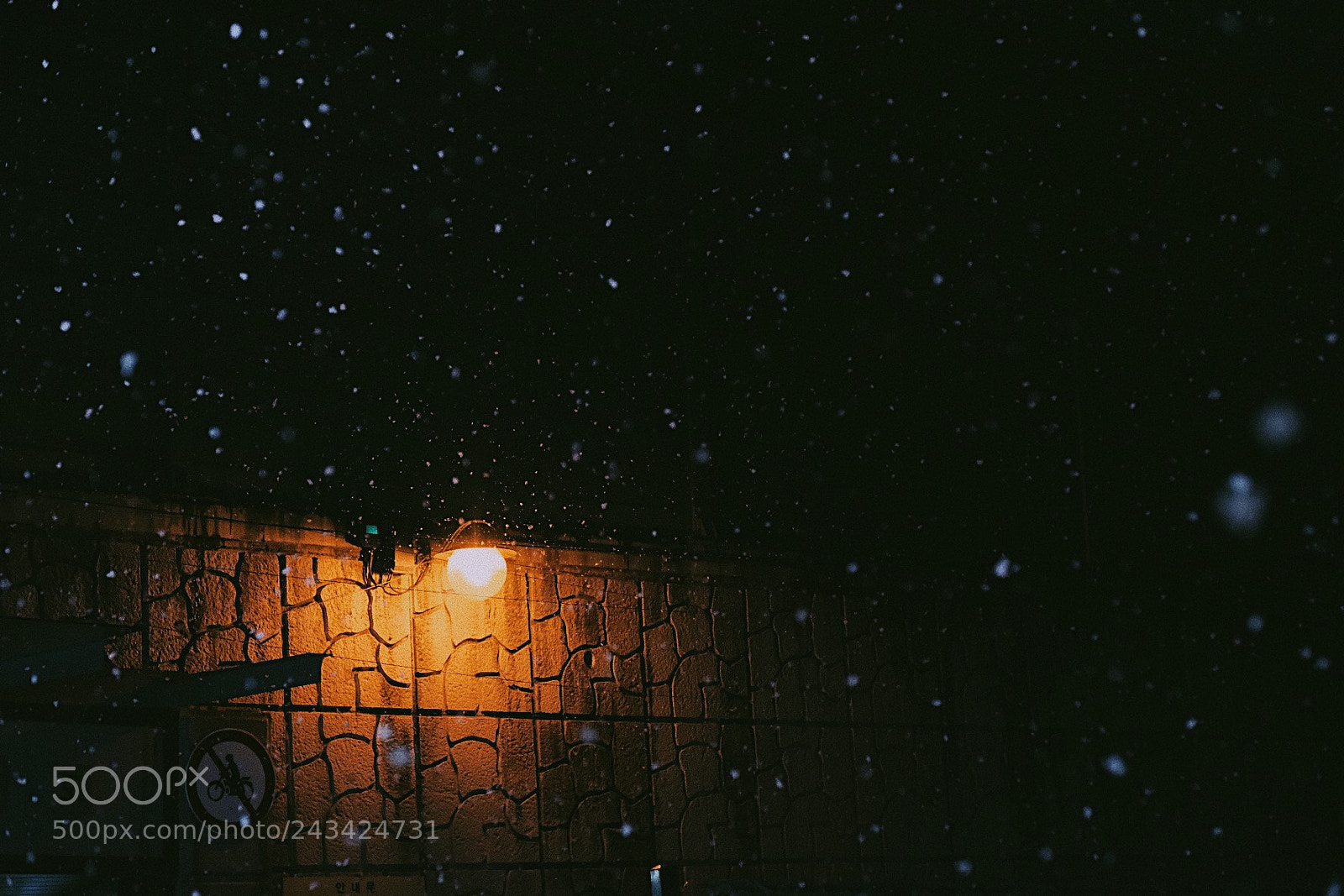Fujifilm X-T2 sample photo. Snowing photography