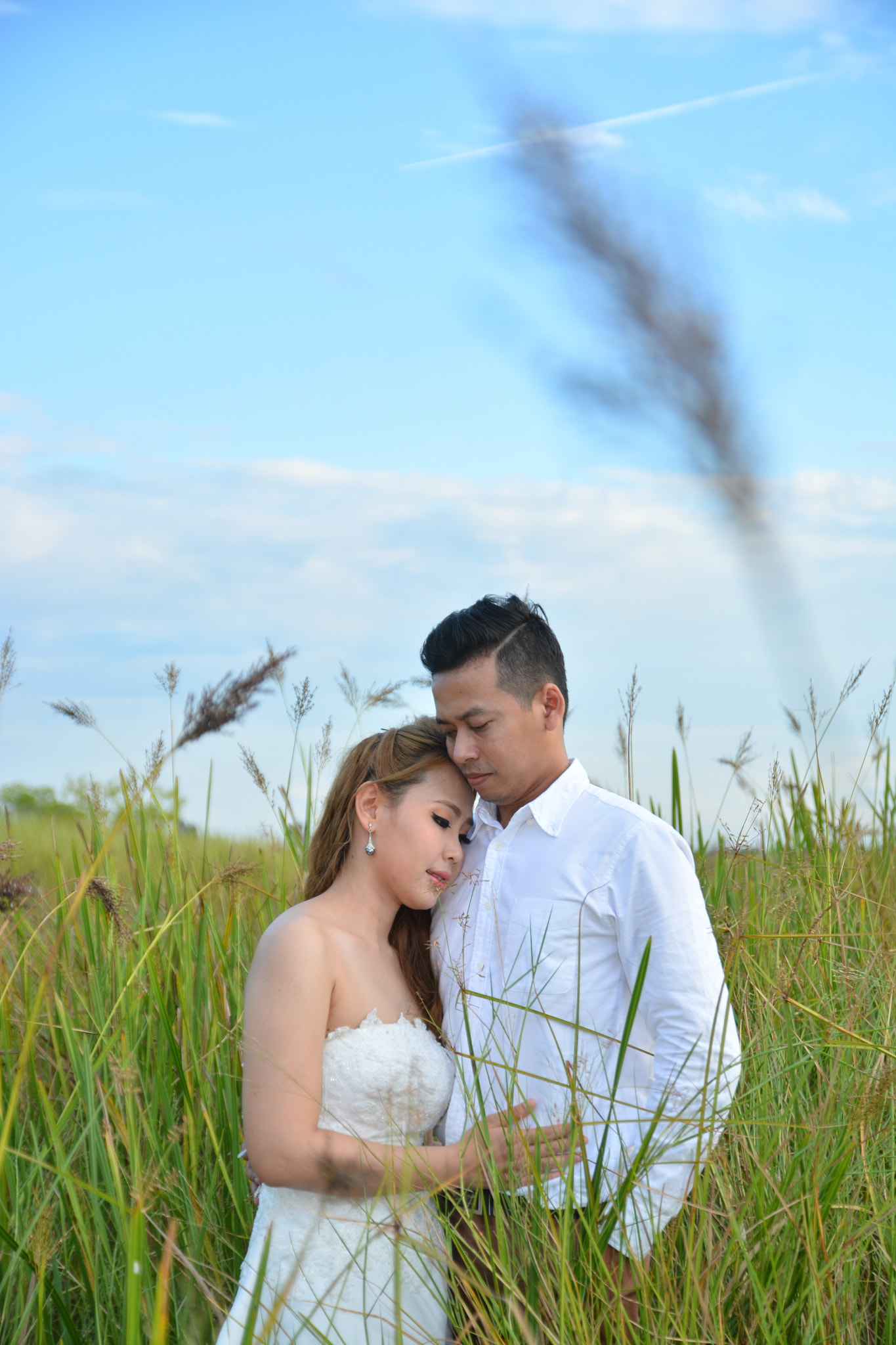 Nikon D7100 sample photo