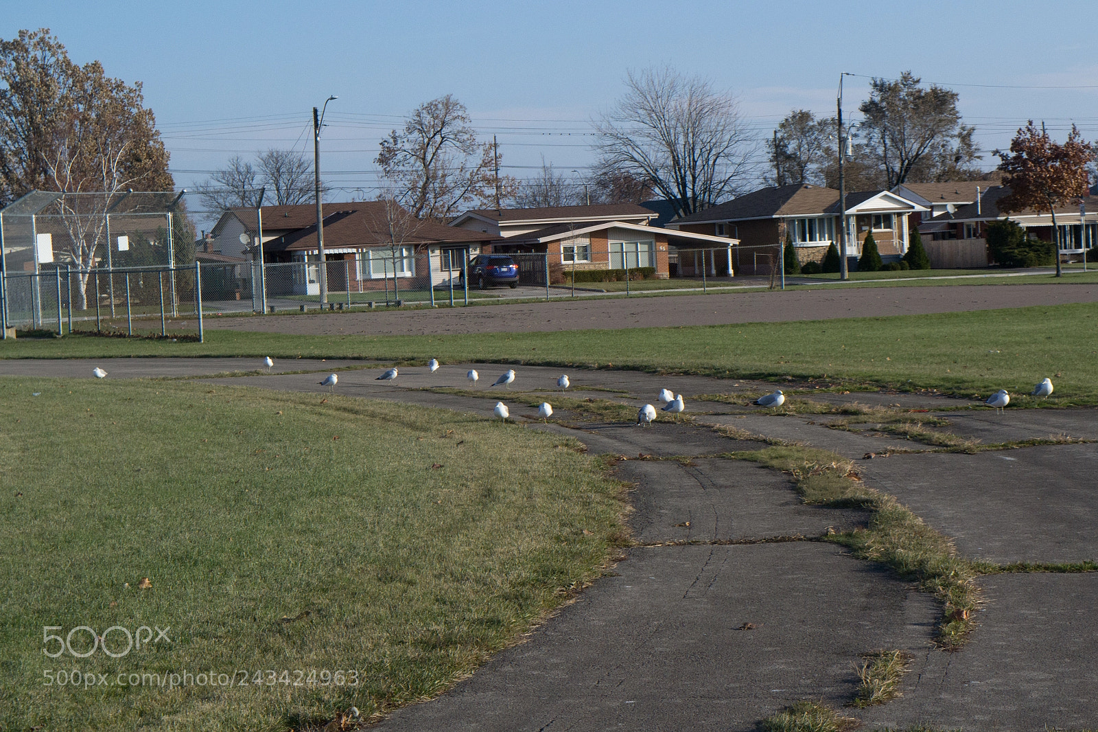 Nikon D3100 sample photo. Landscape photography