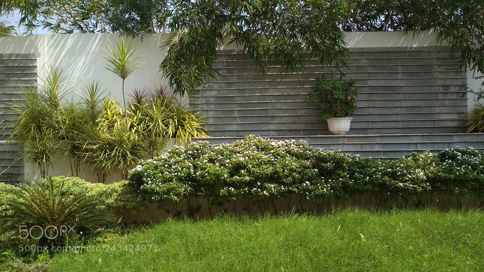 Xiaomi Redmi 4 Pro sample photo. Untitled photography