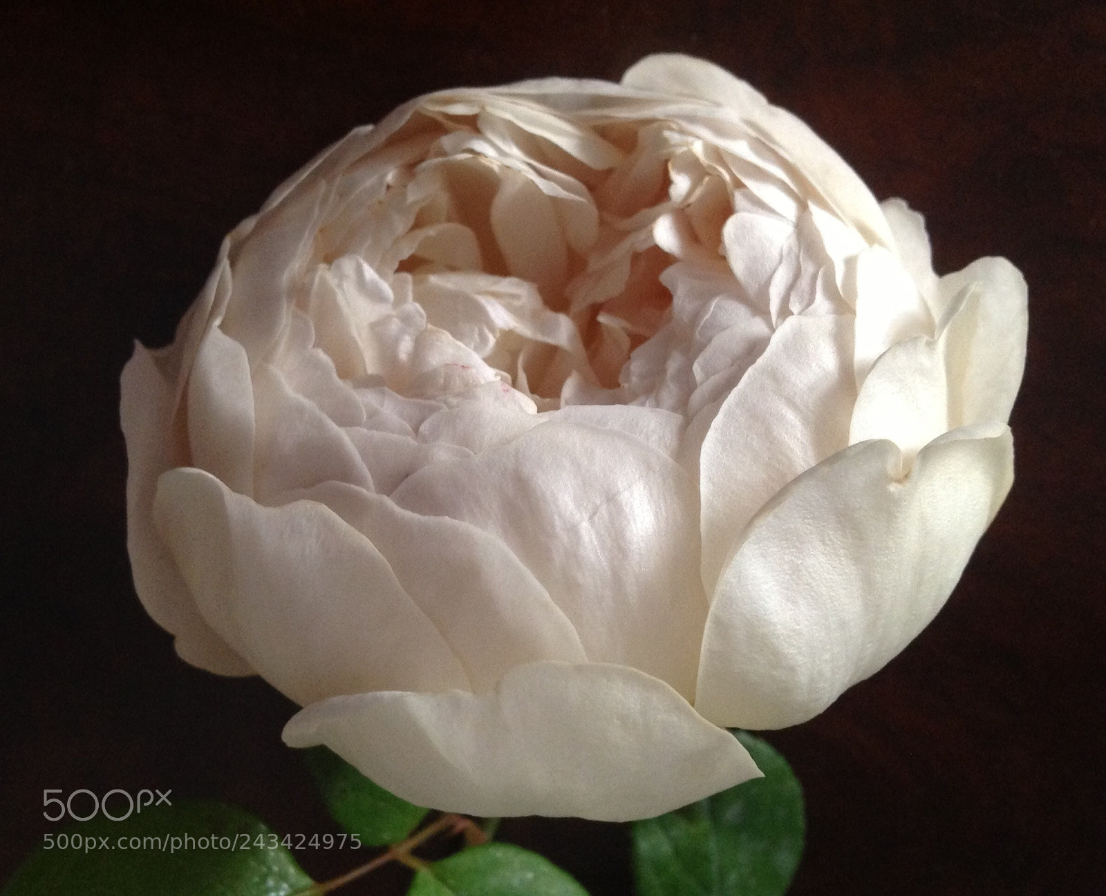 Apple iPad sample photo. Untitled photography
