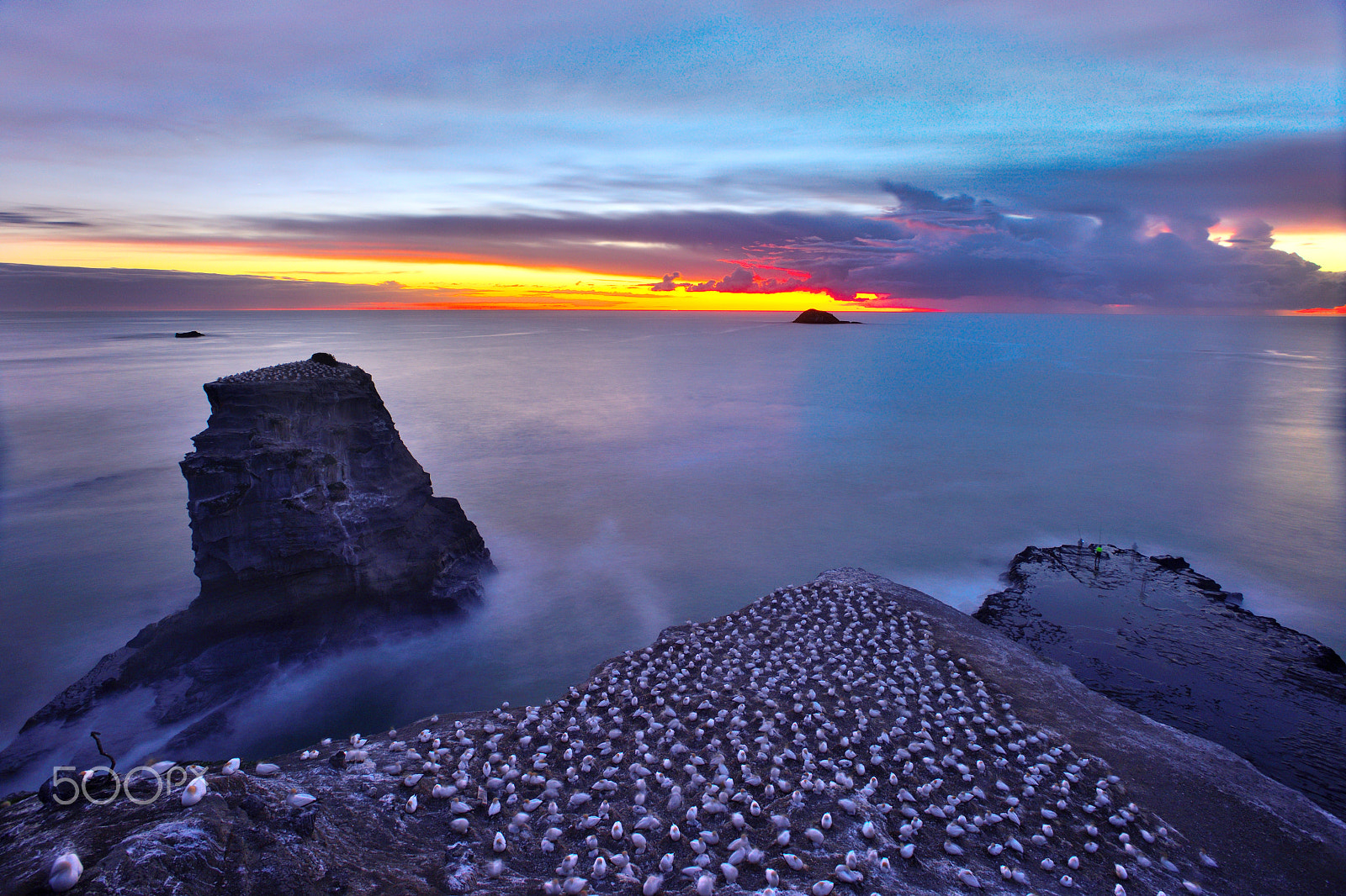 Nikon AF-S Nikkor 17-35mm F2.8D ED-IF sample photo. Sunset over muriwai gannet colony photography