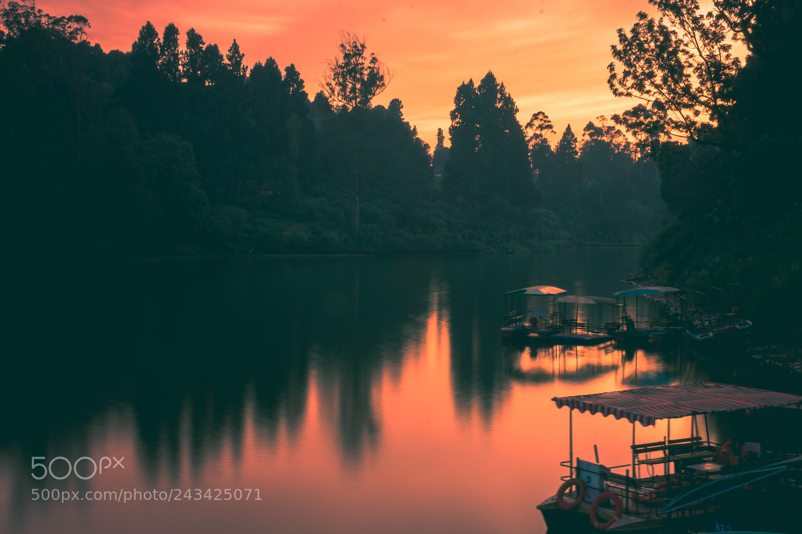 Nikon D5500 sample photo. Reflections photography