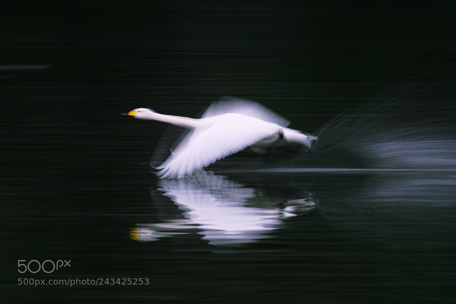 Sony ILCA-77M2 sample photo. (water runway) photography