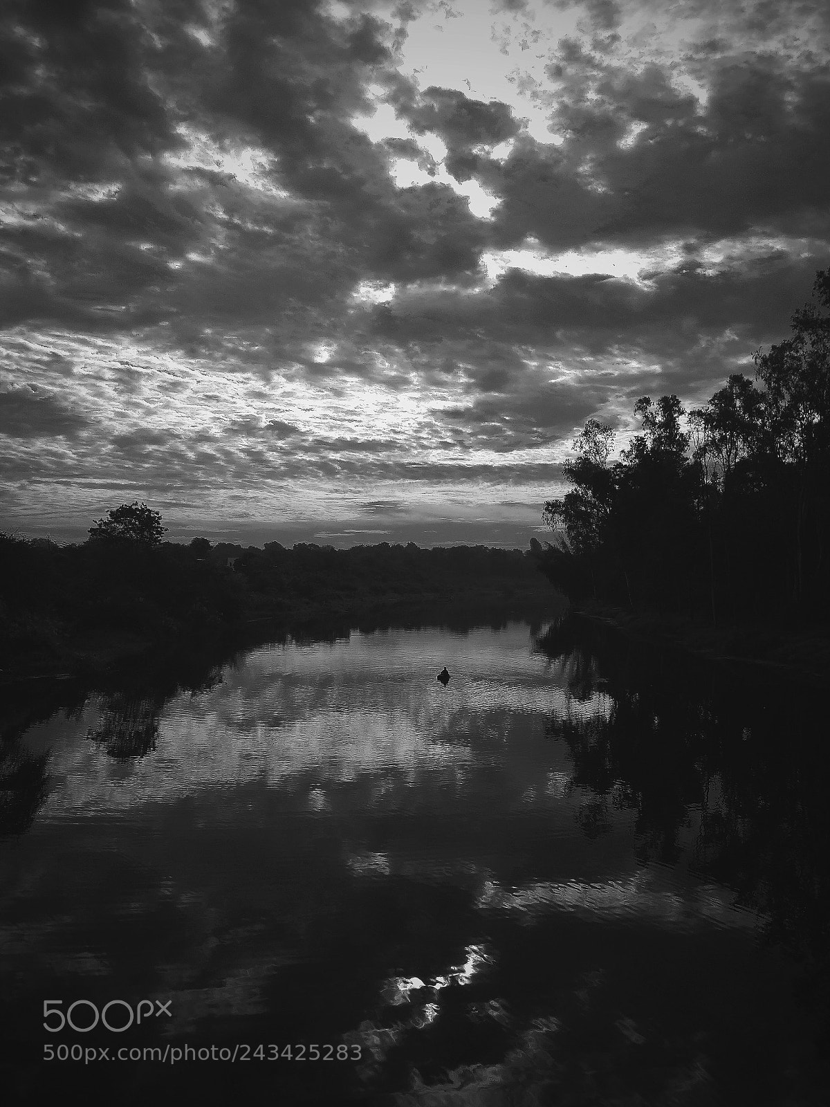 OnePlus 5 sample photo. Untitled photography