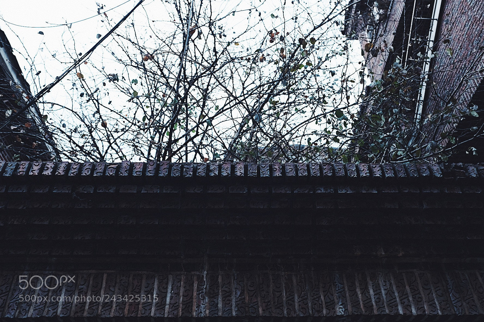 Fujifilm X-Pro2 sample photo. Wall photography