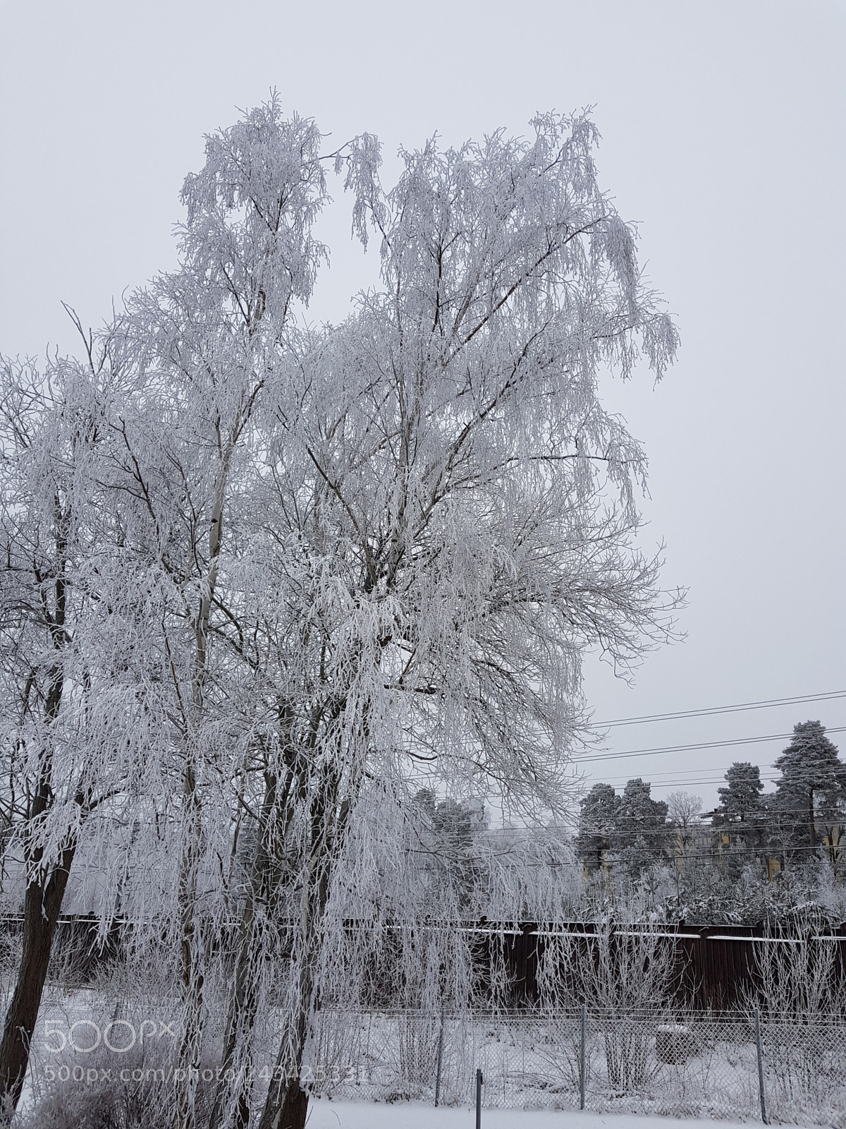 Samsung Galaxy S8 sample photo. Untitled photography
