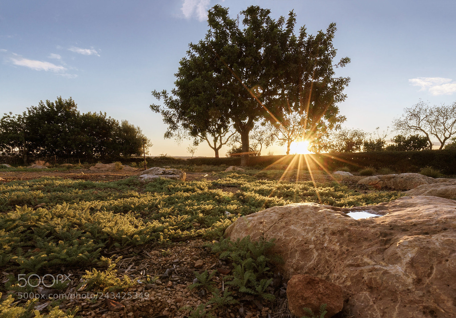 Sony a7 sample photo. Mallorca / majorca sunset photography
