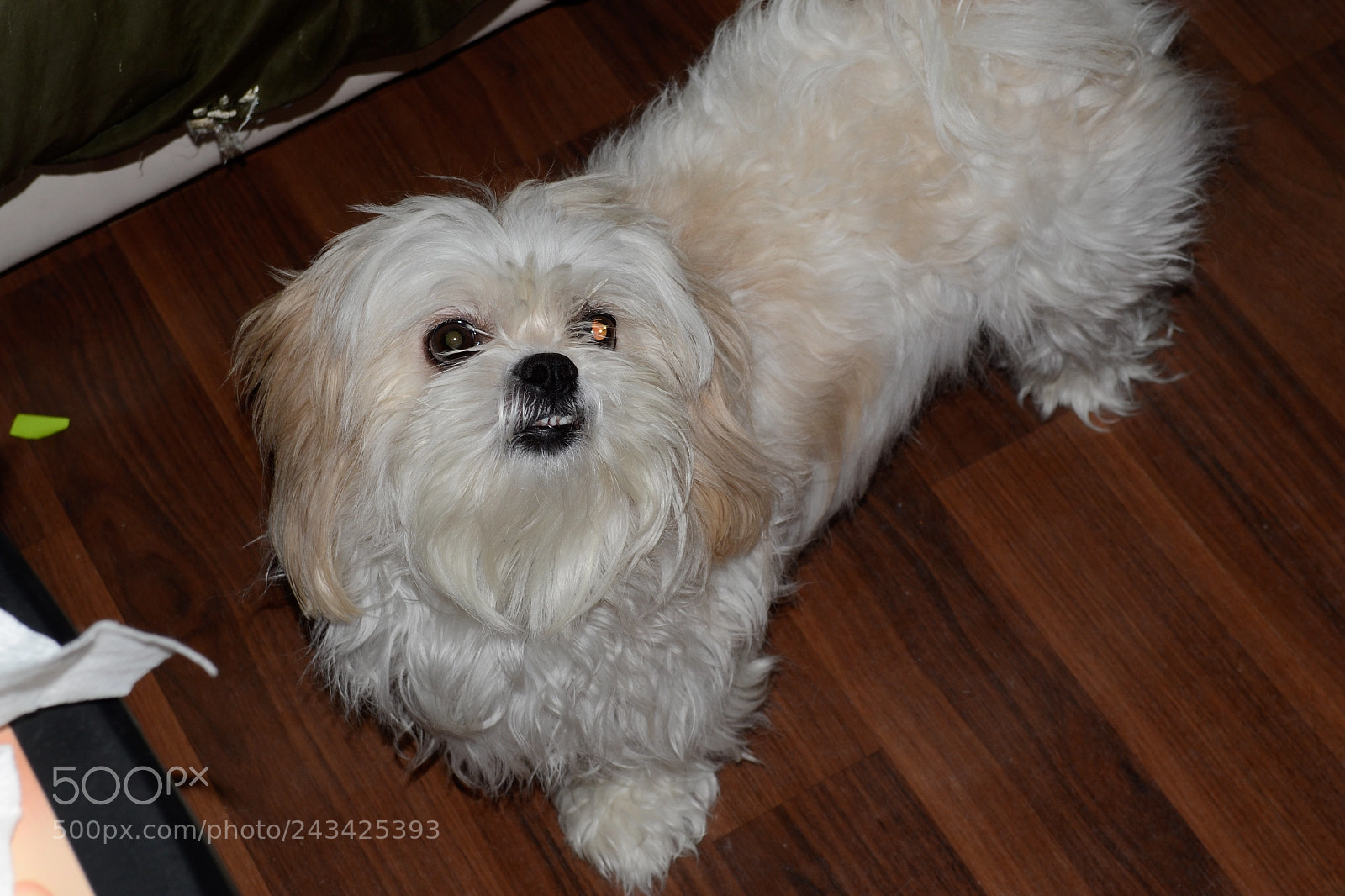 Nikon D3100 sample photo. My choice photography