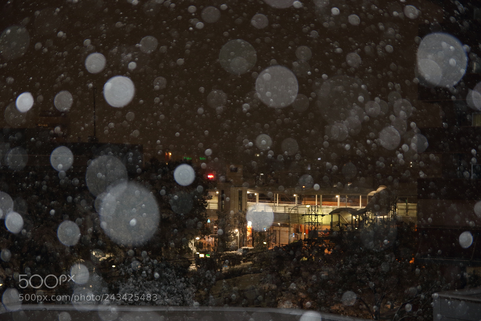 Canon EOS 7D Mark II sample photo. Snow day photography